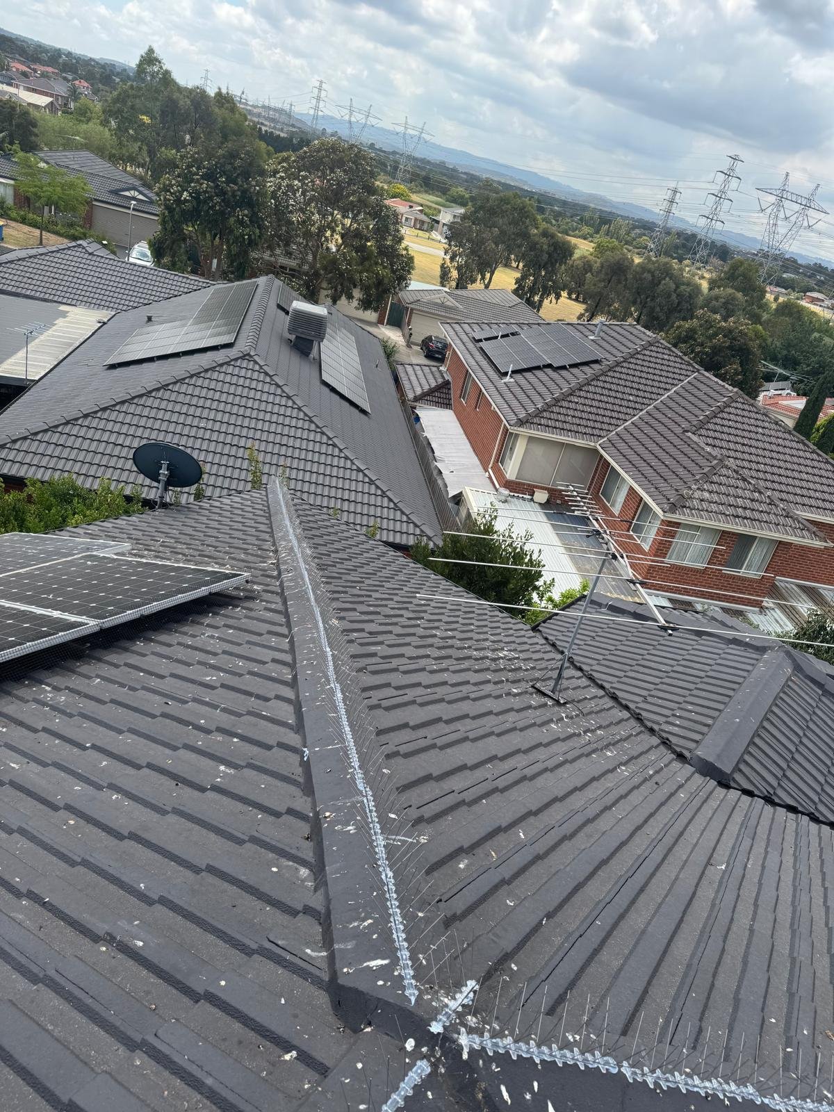 Roof ridge bird spikes and solar panel mesh on a Melbourne home