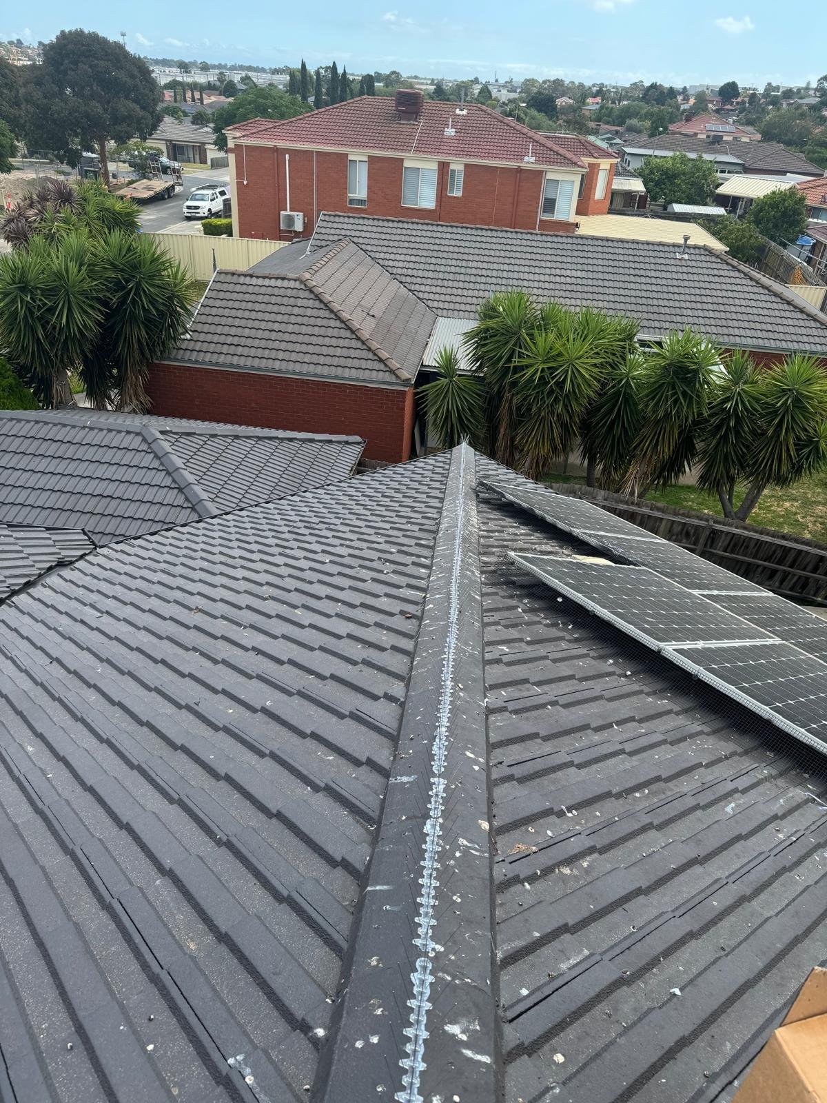 Bird spikes along the ridge with mesh under the solar panels