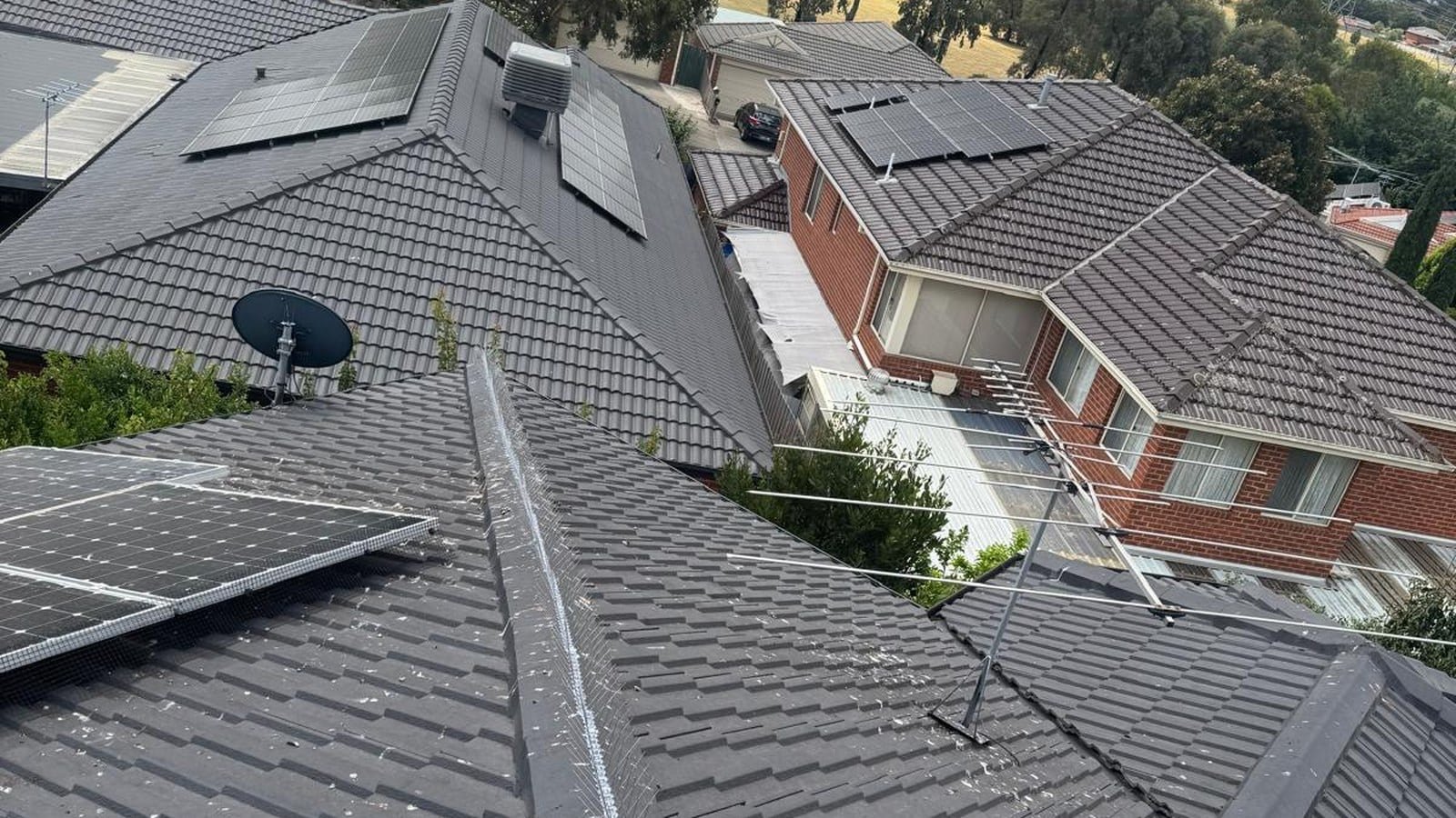 Bird spikes and solar panel mesh on a Melbourne tiled roof