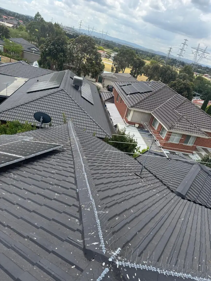 A Melbourne roof with solar panels after a bird proofing job
