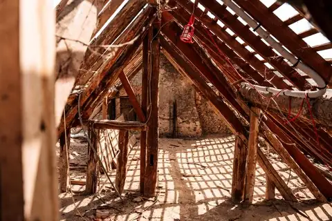 Timber roof space, where a dead animal is usually found